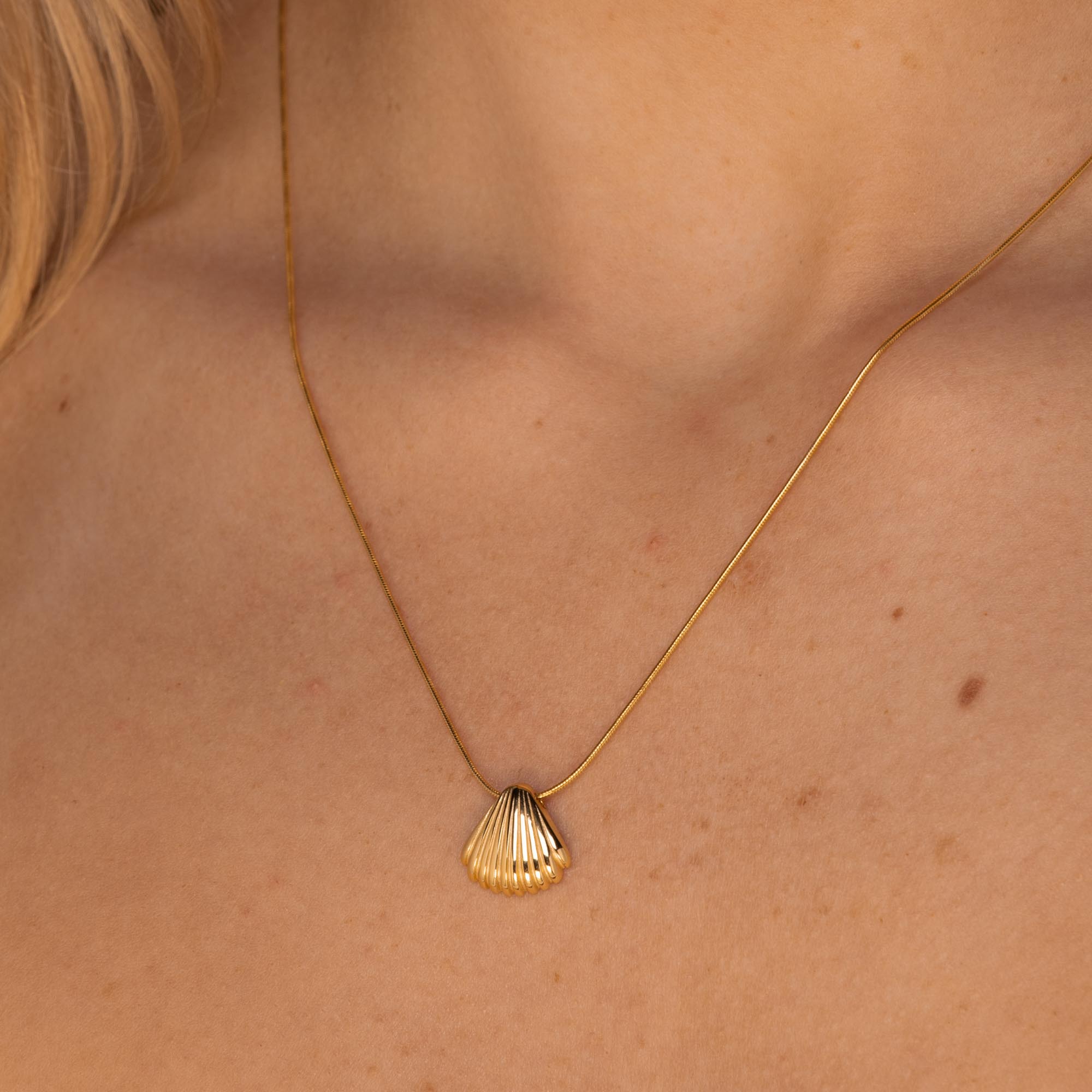 Shell Necklace Gold